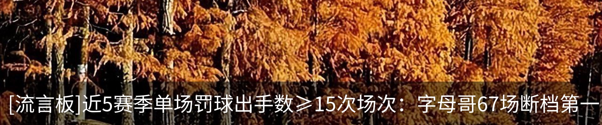 最新动态